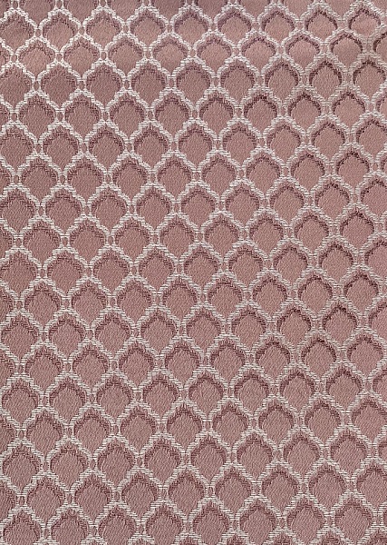 Элиза 5В Элиза 5В